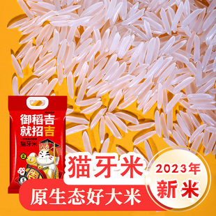 猫牙米大米2023年新米长粒香米台山丝苗米农家米象牙米大米5斤