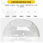 50cm特大加厚圆形玻璃鱼缸圆球形透明超白玻璃缸客厅办公室招财缸