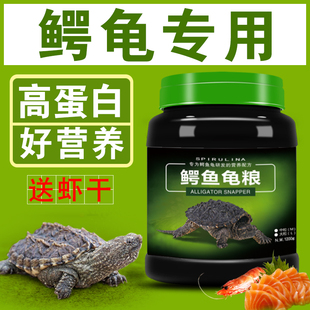 龟粮鳄龟饲料杂佛鳄鱼龟专用乌龟粮小幼龟大鳄龟食物纯佛鳄龟粮