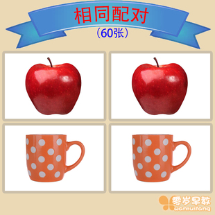 相同配对早教益智宝宝语言，训练自闭症孤独症儿童，发育迟缓机构教具