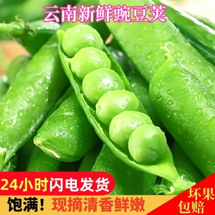 云南新鲜水果甜豌豆当季豆荚青豆甜豆蔬菜新豌豆现摘5斤整箱