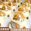 兔宝宝周岁生日蛋糕，装饰宝宝满月甜品台配件插牌可爱小兔子摆件