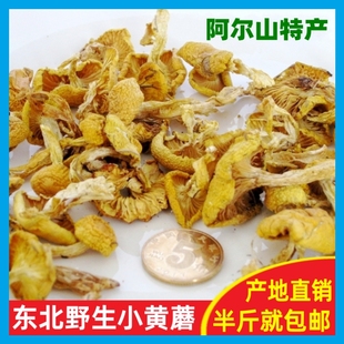 阿尔山小黄蘑250g 天然野生小黄油蘑菇大兴安岭特产紫花脸