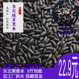 5斤东北黑米杂粮新米紫米大米黑龙江农家自种低脂粗粮粥香米
