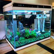 森森超白玻璃鱼缸客厅小型家用水族箱，生态免换水过滤制氧金鱼缸(金鱼缸)