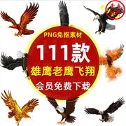 。卡通老鹰猎鹰雄鹰展翅飞翔插图，png图片手绘老鹰纹身图案ps素材