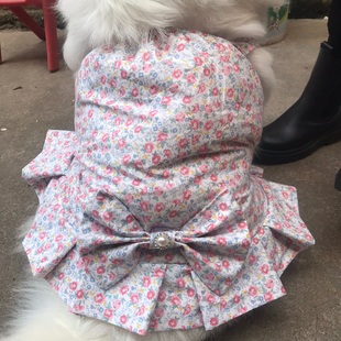 小中大型犬吊带裙纯棉可爱宠物狗狗萨摩耶金毛拉布拉多阿拉衣服