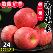 陕西洛川苹果水果新鲜当季整箱红富士冰糖心特级脆甜孕妇10斤
