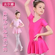 儿童舞蹈服女童长袖中国舞练功服蓬蓬裙女孩套装演出服装秋冬季