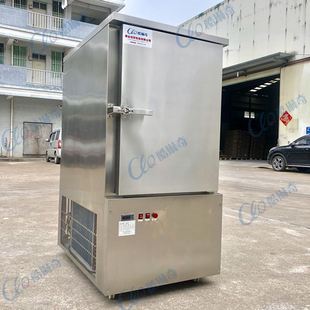 香港双黄莲蓉大班冰皮月饼冷冻柜 立式单门十层不锈钢低温急冻机