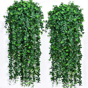 仿真招财树叶子墙壁挂，吊篮塑料假花藤条，装饰绿植藤蔓摆设植物吊兰