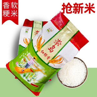 十里谷香崇岛的银香米宝宝粥米一级软糯大米岛屿农场新米含胚芽米