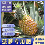菠萝专用肥苞萝肥料金钻，凤梨营养液香水，菠萝有机复合颗粒缓释肥