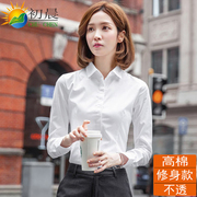 棉质白衬衫女士职业长袖，工作服上衣2024韩版百搭衬衣，正装通勤