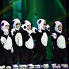 大熊猫套装演出服幼儿园儿童功夫熊猫宝宝卡通动物人偶造型表演服