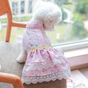 狗狗衣服宠物猫咪泰迪蕾丝碎花，春夏薄款连衣裙花朵，淑女小型犬裙子