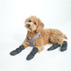 狗狗轮椅专用脚套泰迪犬防滑防脏宠物脚套袜子防抓手大型犬