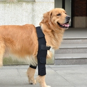 宠物狗护膝狗狗护肘衣关节保护套中型大型犬防脏前腿套辅助走路用