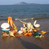 户外仿真小号贝壳乌龟海星海螺玻璃钢海洋生物雕塑游儿童公园陈美