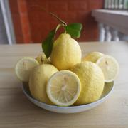 安岳黄柠檬一级果应季新鲜水果皮薄多汁泡水榨汁装奶茶店