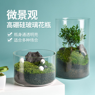 高硼硅玻璃花瓶桌面微景观，生态瓶水培，植物罐客厅装饰玻璃缸大花瓶