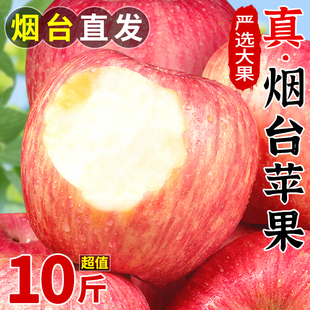 山东烟台红富士苹果10斤新鲜水果当季正宗冰糖心栖霞平果整箱