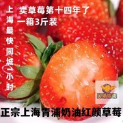 贝塔果果现新鲜水果，青浦红颜奶油草莓礼盒装，非丹东99章姬上海