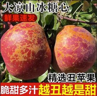 四川大凉山盐源冰糖心红富士丑苹果3/5/8斤
