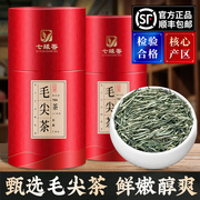 七缘香毛尖茶信阳毛尖绿茶正宗新茶雨明前嫩芽浓香型罐装500g