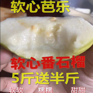 软心白心软(白心软)糯鸡屎果番石榴，芭乐巴乐土芭乐新鲜现摘