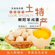 东北朝阳农家笨鸡蛋30枚礼盒装，野外散养草，鸡蛋新鲜自养送礼