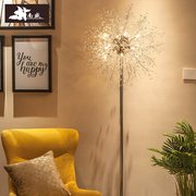 水晶落地灯客厅北欧轻奢风格现代简约创意沙发网红蒲公英床头灯