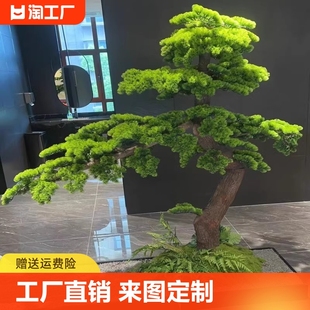 新中式仿真松树大型迎客松，罗汉松室内摆件造景，装饰假树绿植盆景