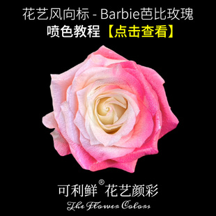 可利鲜喷花专用漆鲜花喷色剂高阶韩国风，barbie芭比玫瑰喷色公主粉