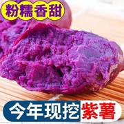 紫薯新鲜甜(新鲜甜)糯今年现挖5斤农家紫罗兰，紫红薯山芋紫心薯3-9斤
