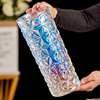 大号透明水晶玻璃花瓶水培，富贵竹百合干花，客厅插花直筒花器摆件