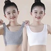 双层中小学生女孩抹胸无钢圈，裹胸8-16岁女童纯棉，发育期小背心内衣