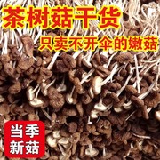500g新鲜农家茶树菇干货不开伞茶薪菇250g非特级香菇蘑菇特产菌类