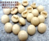 浅卡其色米色珍珠小蘑菇，扣线衫衬衫毛衣，纽扣扣子专卖1020