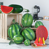 仿真西瓜模型假西瓜片水果蔬菜摄影居家装饰早教画室道具玩具塑料