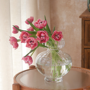 玻璃花瓶摆件客厅插花高级感水培富贵竹花盆透明水养落地水晶艺术