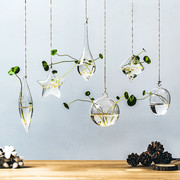 创意悬挂式透明水培玻璃花瓶插花盆，绿萝壁挂小鱼缸简约现代小吊瓶