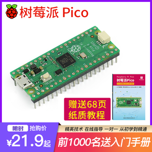 树莓派pico开发板rp2040芯片双核raspberrypimicropython