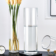 特大号落地花瓶玻璃透明摆件水养，富贵竹水竹玫瑰百合插花客厅家用