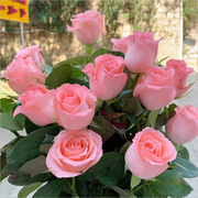 玫瑰鲜花花束云南昆地直发速递同城戴安娜艾莎520情人节礼物