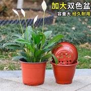 家用白色一次性简易育苗盆，塑料吊兰盆营养钵，黑色盆栽双色花盆