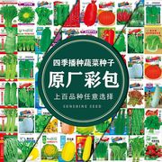 四季蔬菜种子大全室内外农家阳台，庭院播种香菜，生菜草莓辣椒菜种子