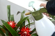 沃施5337高压2L喷雾器喷水壶浇花小型气压式家用室内消毒喷雾瓶