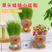 幼儿园创意小盆栽 植树节礼物 草头娃娃开花植物儿童水培绿植景观