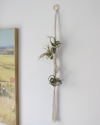 空气凤梨花架波西米亚挂毯花盆垂吊花篮室内绿植盆栽手工编织